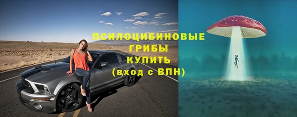 Альфа ПВП Абаза