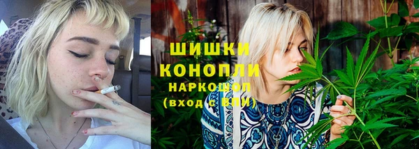 гидропоника Дмитриев