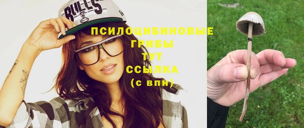 Альфа ПВП Абаза