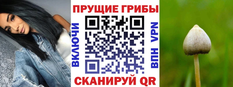цены   Новая Усмань  Псилоцибиновые грибы мухоморы 